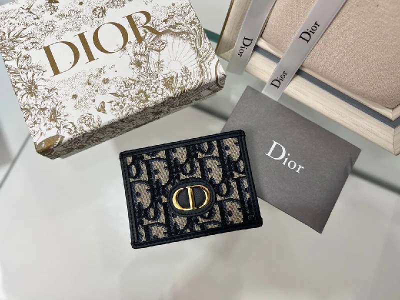 WF - Dior Bag - 060