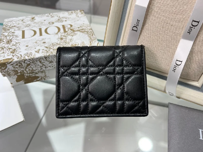 WF - Dior Bag - 088