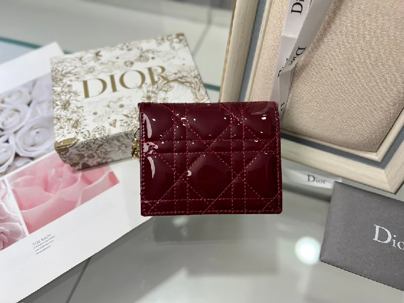 WF - Dior Bag - 079