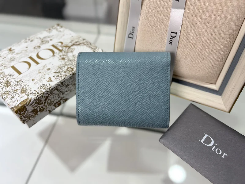 WF - Dior Bag - 101