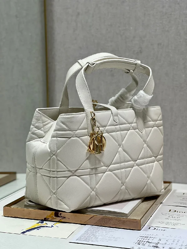 WF - Dior Bag - 008