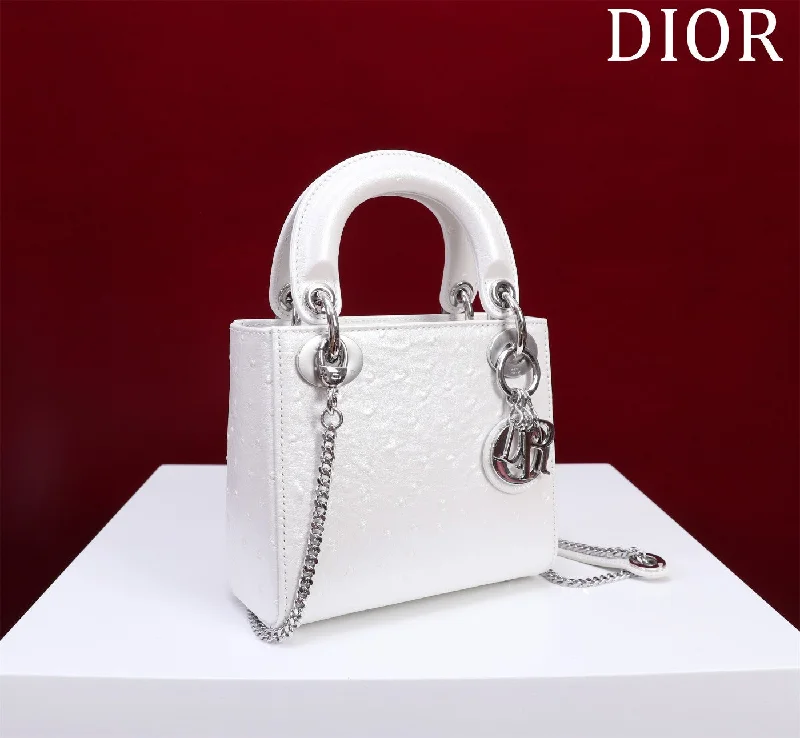 WF - Dior Bag - 120